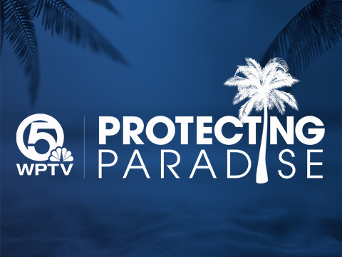 Protecting-Paradise-Profile.jpg